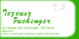 tezeusz puchinger business card